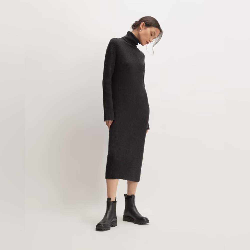 Everlane Cotton Merino Turtleneck Dress